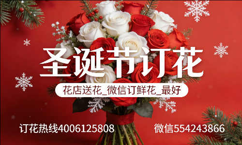 ���ݷ����ػ���